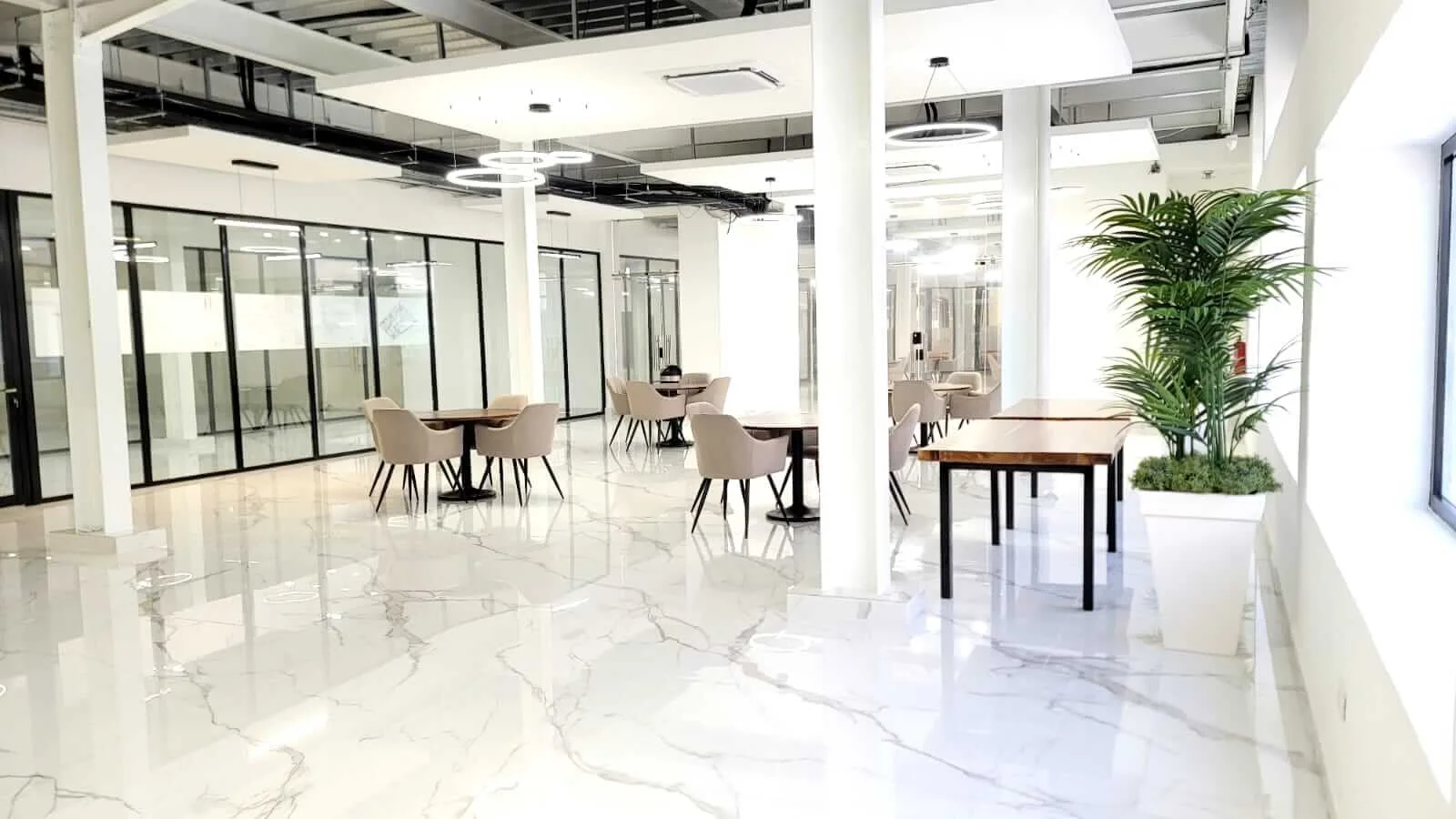 WhatsApp Image 2025 08 07 at 11.29.50 AM 1